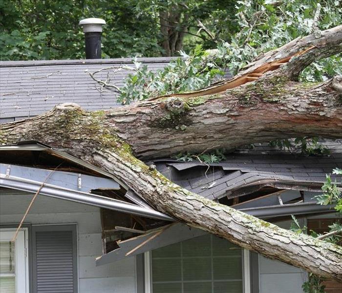 A tree laying on the roof of a home.