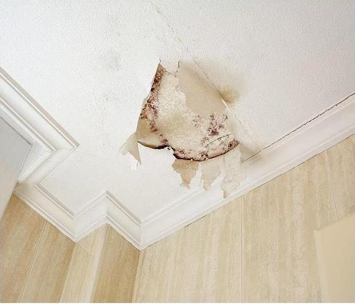 mold damaging ceiling, water damage